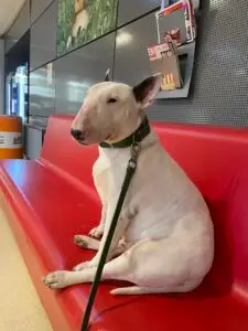 Ayla in Utrecht voor gezondheid testen