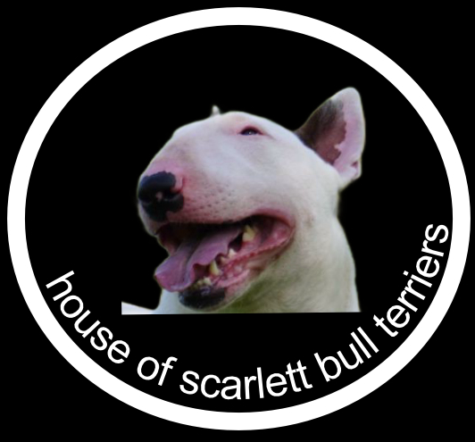 House Of Scarlett